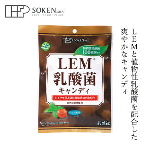  n LEM_ۃLfB 63gi݁j wzʓT Ki Y ۑ Y