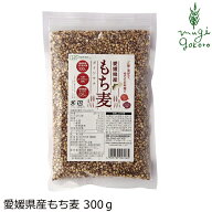 もち麦 創健社 愛媛県産もち麦 300g 購入金額別特典あり 正規品 保存料 無添加