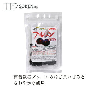 hCt[c n L@͔|v[ ʂ 110g wzʓT Ki L@JAS ۑ Y H@