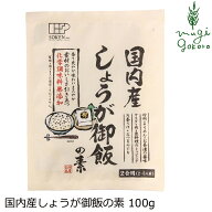 しょうが御飯の素 創健社 国内産しょうが御飯の素 100g 購入金額別特典あり 正規品 保存料 無添加