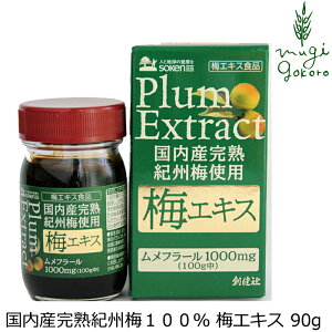 ~GLX n YnIB~100 ~GLX wzʓT Ki ۑ Y