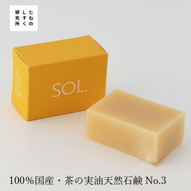 洗顔石けん オーガニック たねのしずく研究所 SOLティーシードスキンケアソープ yes 90g 購入金額別特典あり 無添加 正規品 スキンケア 天然 ナチュラル ノンケミカル 茶の実石鹸 TEA SEED Skincare SOAP　SOL. HAND MADE FACE SOAP NO. 3：Yes