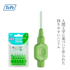 ԃuV TePe ey IWiԃuV Pi6{uX^[pbN 0.8mm O[ LTCY wzʓT Ki TXeiu oCIx[X уtBg