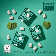チューイングガム Forest Gum フォレストガム 20g 購入金額別特典あり 正規品 保存料・合成香料・合成甘…