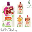 オーガニックフルーツスムージー ヴィタビオ スーパーフルーツ 120g アップル ストロベリー ザクロ ラズベリー ブルーベリー マンゴー アセロラ グアバ クランベリー 購入金額別特典あり 正規品 国内産 保存料 無添加 オーガニック 無農薬 有機 砂糖不使用