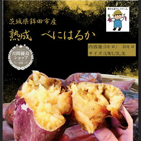 熟成　べにはるか　茨城県 旭村 鉾田市産 5kg /10kg S / M / L/ 2L/ 3L　さつまいも