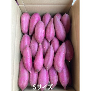 V@錧 @gcsY VNXC[g 5kg / 10kg S / M / L/ 2L/3L@e ^ TCYI ܂ Yn@Ƃ@Â