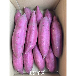 �y1��20�������甭���\��z��錧 ���� �g�c�s�Y �n�� �V���N�X�C�[�g 5kg /10kg S / M / L/ 2L/3L�@���e�� �^ �T�C�Y�I�� ���܂��� �Y�n�����@�����Ƃ�@�Â�