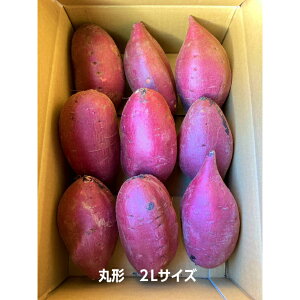 セール中 新芋 茨城県 旭村 鉾田市産 シルクスイート S / M / L / 2L ちょっぴり 訳あり 丸形 さつまいも しっとり甘い ほくほく