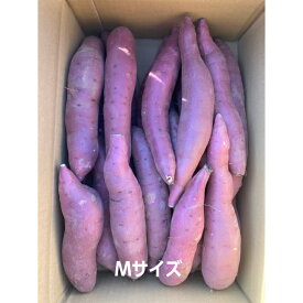 訳あり 熟成べにはるか 茨城県 旭村 鉾田市産 5kg /10kg S / M / L/ 2L/ 3L 形不ぞろい(丸形・曲がり等)