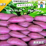 新芋　茨城県 旭村　鉾田市産 シルクスイート 5kg / 10kg S / M / L/ 2L/3L　内容量 ／ サイズ選択 さつ…