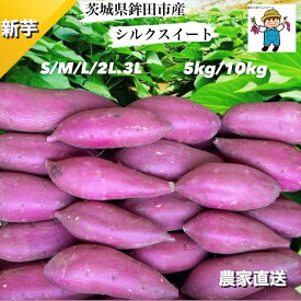 【予約品のため5キロあたり300g増量中】新芋　茨城県 旭村　鉾田市産 シルクスイート 5kg / 10kg S / M / L/ 2L/3L　内容量 ／ サイズ選択 さつまいも 産地直送　しっとり　甘い