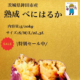 【セール中】3280円→2800円　熟成　べにはるか　茨城県 旭村 鉾田市産 5kg /10kg S / M / L/ 2L/ 3L　さつまいも