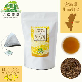 ほうじ茶 ティーパック 茶葉 ティーバッグ ほうじ茶パック 焙茶 日本茶 お茶 美味しいお茶 お茶パック 冷茶 お茶葉 お茶っぱ お茶っ葉 水出し 贈り物 贈答用 お祝い 焙じ茶 ギフト 美味しい おいしい 甘み お取り寄せ お土産 国産 宮崎 宮崎県 川南町 六車農園 メール便