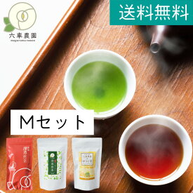 深蒸し茶 かぶせ茶 さえみどり ほうじ茶 煎茶 ティーバッグ お茶 煎茶 茶 パック ティーパック 彩翠 日本茶 茶葉 お茶 ギフト 緑茶 せんちゃ 焙じ茶 お茶セット ティーバック 飲み比べ 贈り物 贈答用 国産 六車農園 宮崎県 川南町 メール便