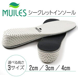 V[NbgC\[ gAbv Iׂ鍂4TCY y2cm/3cm/4cm/5cmz ~ 22.5cm`27.0cm y 35g Ռz C\[ V[Nbg gUP Y fB[X 2cm 3cm 4cm 5cmg TCY