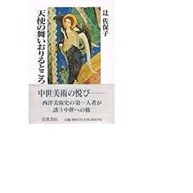 【中古】 天使の舞いおりるところ