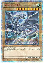 楽天市場】青眼の白龍 20thの通販 