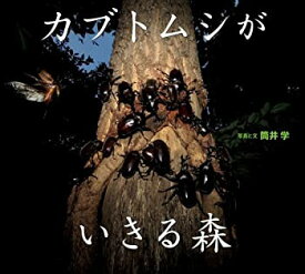 【未使用】【中古】 写真絵本 カブトムシが生きる森 (小学館の図鑑NEOの科学絵本)