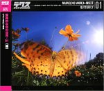  驚異的な虫の世界 01 蝶