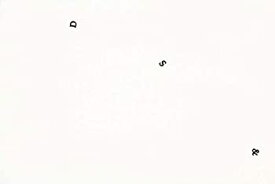 【中古】【輸入品・未使用】生地 naniIRO 50cm単位 綿シルク peinture a l'eau Alphabet EGX-10960-1 布 伊藤尚美 ナニイロ (E(ホワイト)) [並行輸入品]