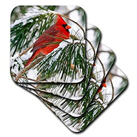 【中古】【輸入品・未使用】(set-of-8-Soft) - 3dRose cst_112146_2 Red and Black Cardinal Perched in Snowy Pine Tree-Soft Coasters%カンマ% Set of 8