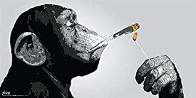 【中古】【輸入品・未使用】Steez Monkey喫煙ジョイント・デコレーション・ミュージックUrban Graffiti Art Print（Unframed 12x24ポスター） [並行輸入品]