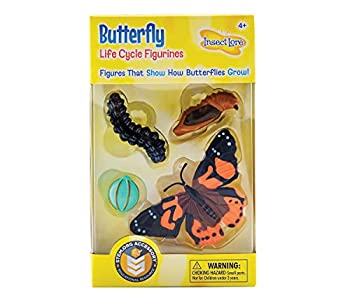 【輸入品・未使用】Life Cycle Stages-Butterfly (並行輸入品)のサムネイル