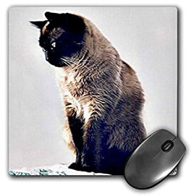 【中古】【輸入品・未使用】3Dローズ 猫 ‐ シャム猫 - マウス パッド - マウスパッド - mp_645_1 (並行輸入)
