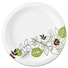 【中古】【輸入品・未使用】Pathways Paper Plates%カンマ% 8.5%ダブルクォーテ%%カンマ% Green/Burgundy%カンマ% 1000/Carton (並行輸入品)