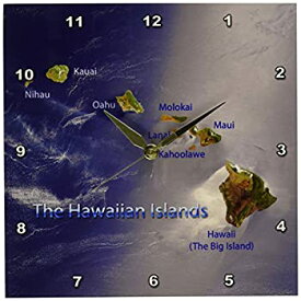 【中古】【輸入品・未使用】3dRose DPP_55408_1 ハワイ諸島の景色 壁掛け時計 25.4×25.4cm