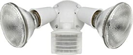 【中古】【輸入品・未使用】RAB Lighting LU300W 110 Luminator Floodlight Kit%カンマ% Polycarbonate%カンマ% 300W Power%カンマ% 120V%カンマ% White by RAB Lighting