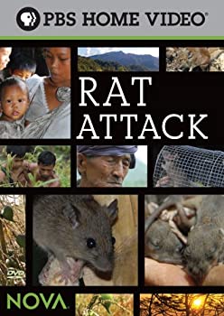 【中古】【輸入品・未使用】Nova: Rat Attack [DVD] [Import]