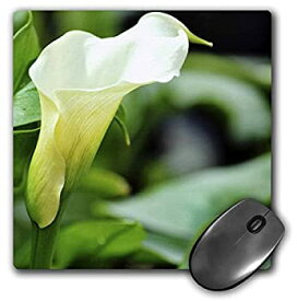 【中古】【輸入品・未使用】3dRose LLC 8 x 8 x 0.25 Inches Mouse Pad%カンマ% White Calla Lily Floral - Spring Flowers (mp_52787_1) [並行輸入品]