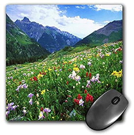 【中古】【輸入品・未使用】3dRose LLC 8 x 8 x 0.25 Inches Mouse Pad%カンマ% Colorado Wildflower and Mountains (mp_53249_1) [並行輸入品]