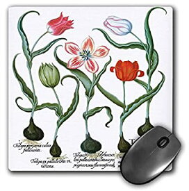 【中古】【輸入品・未使用】3dRose Tulips in White%カンマ% Rich Red%カンマ% Cream and Crimson Mouse Pad (mp_173779_1) [並行輸入品]