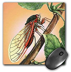 【中古】【輸入品・未使用】3dRose LLC 8 x 8 x 0.25 Inches Mouse Pad%カンマ% Cicada Cicada%カンマ% Cicadas%カンマ% Magicicada Septendecim%カンマ% Insect%カンマ% Insects%カンマ% Bugs