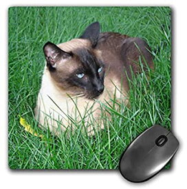 【中古】【輸入品・未使用】3dRose LLC 8 x 8 x 0.25 Inches Mouse Pad%カンマ% Siamese Cat (mp_4496_1) [並行輸入品]