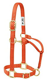 【中古】【輸入品・未使用】(2.5cm Small Horse%カンマ% Orange) - Weaver Leather Adjustable Horse Halter