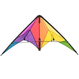 【中古】【輸入品・未使用】HQ Beach and Fun Sport Kite (Calypso II Radical) by HQ Kites [並行輸入品]