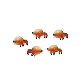 【中古】【輸入品・未使用】サファリ Fortunately Minis Hermit Crabs 342822 (並行輸入)