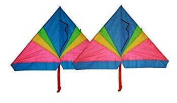 期間限定特価品Rainbow delta kite (2 sets) 46 inch x 28 inch with long tails with flying line and handle [並行輸入品]