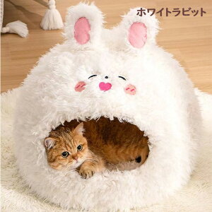 yP20Izybgxbh ETM NX}X giJC nEX h H ~ L h[^ ӂӂ  NbVt p LnEX  ۉ g ~ ΍ Q  