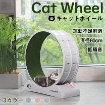 楽天市場】キャットローラーの通販