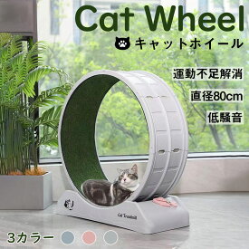【P20限定】キャットホイール 猫 ランニングホイール キャットウォーク キャット ローラー 猫のトレッドミル 回し車 爪研ぎ キャットエクササイズホイール ノイズなし 軽量 静音 運動不足やストレス解消に 猫ランニングマシン 滑り防止マット付き 室内用