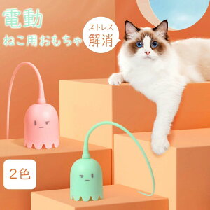L炵  2in1 ˂  dlR炵 lY~ ˂݂̂ lY~̐K lV XgX ^s T-ypec[d Lp v[g S d L