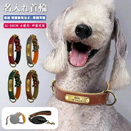 【名入れ可】 犬 首輪 名入れ 迷子札 名前入り 名前 入り オーダーメイド 刻印無料柔らかい 負担 少ない …