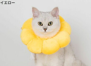 yP20Iz GUxXJ[ Lp p ybgpi \tg _炩 p  NbV rߖh~ ی  t[ 킢