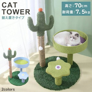 Lbg^[ ܂Ƃ |[  T{e  ~` xbh 炵 Lbgc[ gݗ H qL VjA ˂ lR LƋ ybgObY 킢 u Xebv t