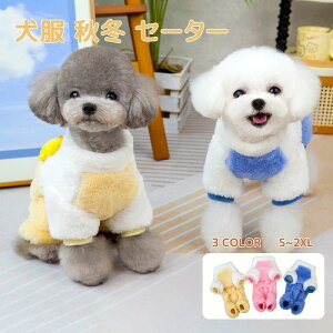 yP20Iz H~ Z[^[  R[g WPbg H~ ybg  p Z[^[  H~ Z[^[ ybg hbOEFA  H~ t[X Z[^[ R[g  ybg